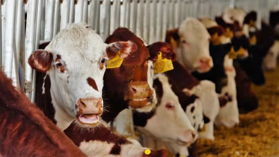 1643275808317503.jpg WeChat Image_20220127170245.jpg